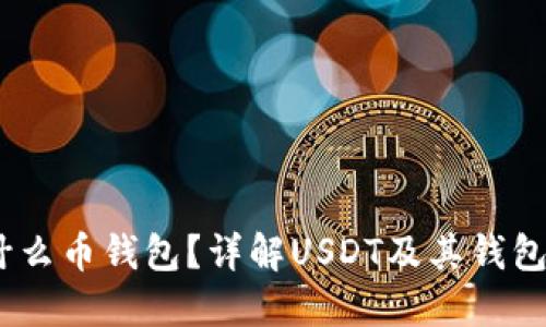 USDT是什么币钱包？详解USDT及其钱包使用指南