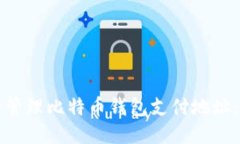 如何安全管理比特币钱包支付地址：全面指南