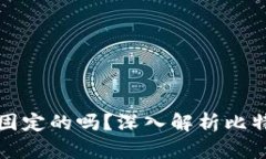 比特币钱包地址是固定的吗？深入解析比特币钱