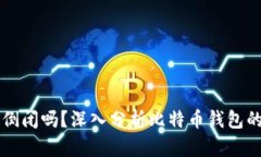 比特币钱包会倒闭吗？深入分析比特币钱包的安