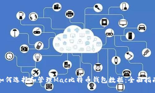 如何选择和管理Mac比特币钱包数据：全面指南