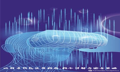 比特币钱包使用指南：指令详解与安全策略