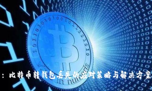 : 比特币转钱包丢失的应对策略与解决方案
