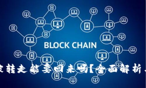 TP上的币被转走能要回来吗？全面解析与解决方案