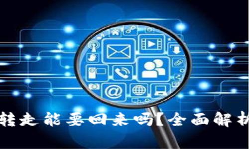 TP上的币被转走能要回来吗？全面解析与解决方案