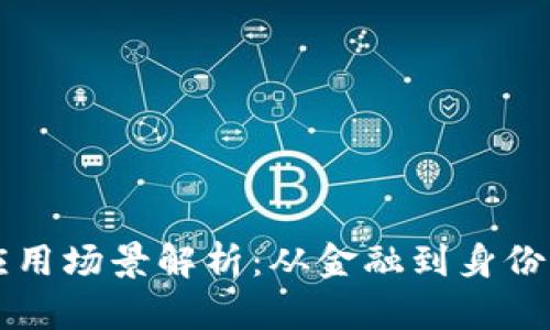 区块链钱包的应用场景解析：从金融到身份认证的无限可能